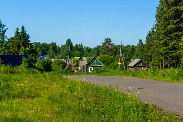 Дерев Яні Будинки Російському Селі Під Пагорбом Влітку Дикого Лісу — стокове фото