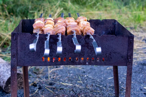 Viande Marinée Juteuse Sur Brochettes Sur Gril Pique Nique — Photo