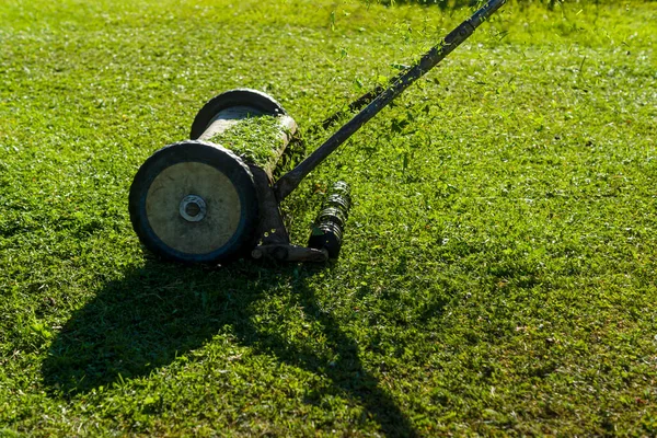 Mechaniczna Kosiarka Kosi Zieloną Trawę Trawniku Jasnym Wieczornym Słońcu — Zdjęcie stockowe