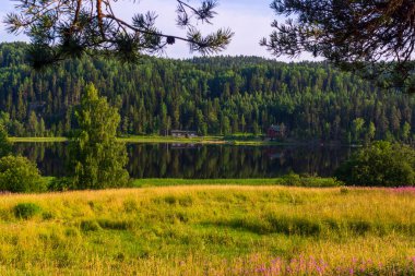 Rusya 'nın Karelia kentindeki dağda kır evleri olan çayır manzarası ve sessiz orman gölü.
