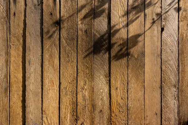 天然阳光下质感粗糙的旧木板的背景 — 图库照片