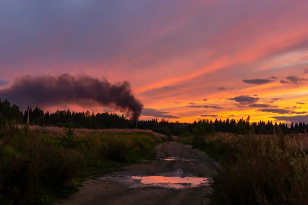 Kouř Ohně Lese Při Západu Slunce Nebe Pozadí — Stock fotografie