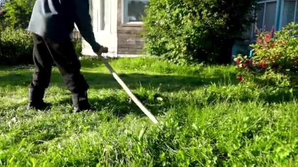 Country Man Mows Grass Retro Hand Scythe — Stock Video