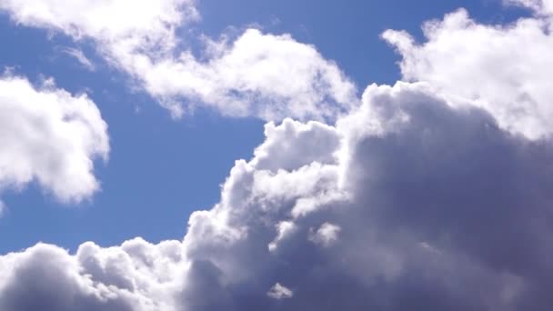 Glada Panorama Grumlig Blå Himmel Med Fluffiga Vita Moln Sommardagen — Stockvideo