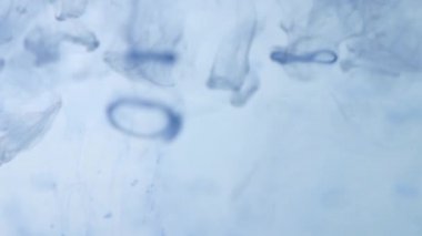 Koyu pembe peçeli soyut hareket