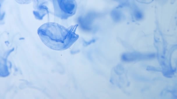 凉爽的蓝色抽象和光滑的液体面纱运动 — 图库视频影像