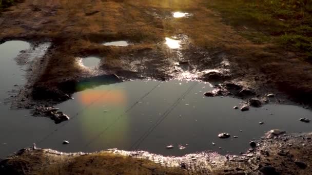 Sol Brilla Charco Carretera Del Campo Atardecer Inclinándose — Vídeos de Stock