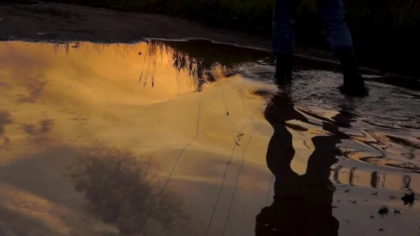 ゴムブーツの脚は日没時に田舎道の水たまりの上を歩く — ストック動画