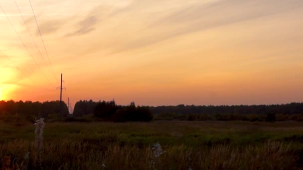 Panorama Paisagem Pôr Sol Campo Campo — Vídeo de Stock