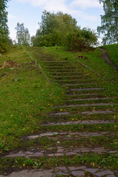 Παλιά Σκάλα Στο Πάρκο Κατάφυτη Γρασίδι Φθινόπωρο Κάθετη — Φωτογραφία Αρχείου