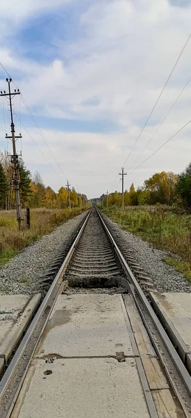 Σιδηρόδρομοι Και Στρωτήρες Ενός Σύγχρονου Σιδηροδρόμου Στο Δάσος Κατακόρυφο Υπόβαθρο — Φωτογραφία Αρχείου