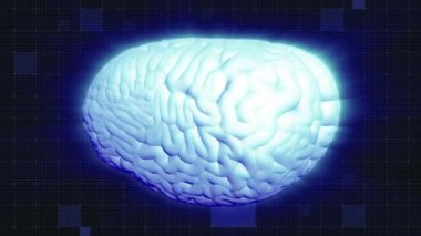 İnsan beyni döndürme, Parlatıcı etkisi. Hafif mavi aura. Tam Hd tıbbi GUI. Döngü sorunsuz imkanı