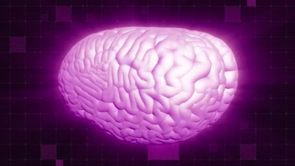 Mänskliga Hjärnan Rotation Glans Effekt Magenta Aura Full Medicinsk Gui — Stockvideo