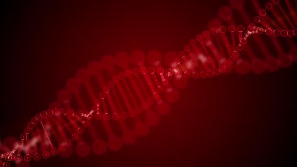 Rotierendes Dna Glühendes Molekül Auf Dunkelrotem Hintergrund Gerenderte Loopable Animation — Stockvideo