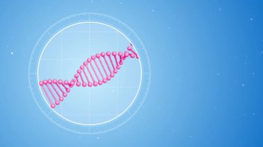 Pembe Dna molekülünün döner. Sol tarafta yer alan. Mikroskop fütüristik görünüme. 3D render animasyon. Mavi dijital arka plan. Genetik kavramı. Tıp ya da bilim kavramı. 4 k görüntüleri