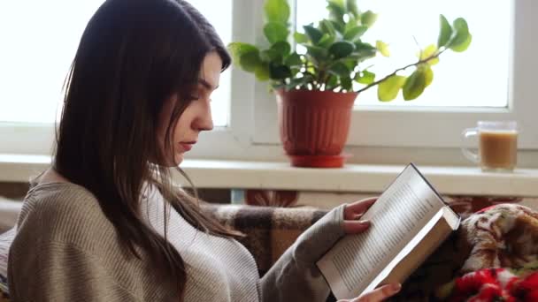 Dívka u okna, čtení knihy — Stock video