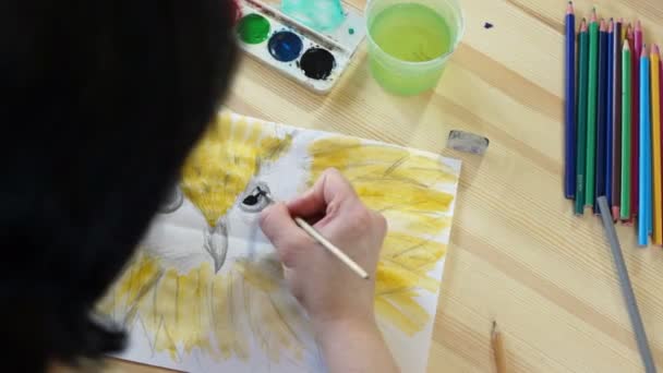 Woman artist draws a birds eye — Stock Video