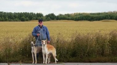 Avcı köpekler pusuda bekleyen