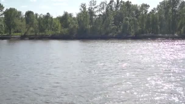 Árboles en la orilla del río — Vídeos de Stock