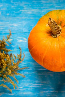 mavi arkaplanda bir balkabağı