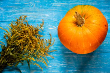 mavi arkaplanda bir balkabağı