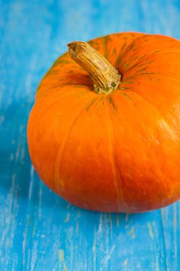 mavi arkaplanda bir balkabağı