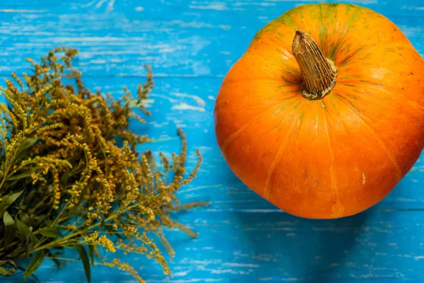 mavi arkaplanda bir balkabağı