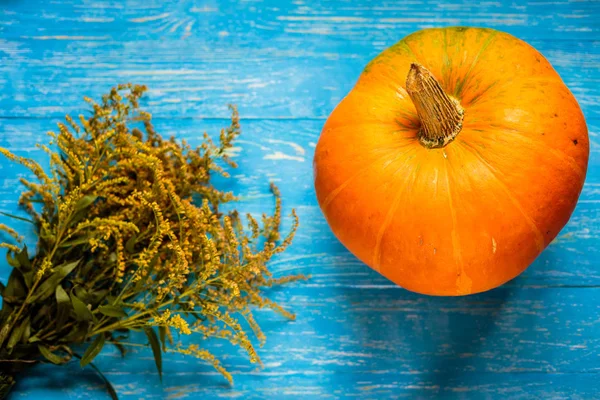 mavi arkaplanda bir balkabağı
