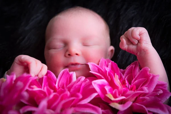 Nyfödd Första Fotosession — Stockfoto