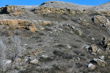 Beyaz kuyruklu geyik bir kayalık tepe tarafı, göl Scott State Park, Scott şehir Kansas, Şubat 2019 yukarı çalıştırmak