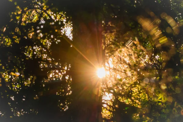 Burst of light Images - Search Images on Everypixel