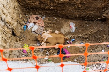 Büyük kahverengi oyuncak ayı oyuncak inşaat ile birlikte diğer çöp sırasında büyük çukur çok günlerde yatıyor