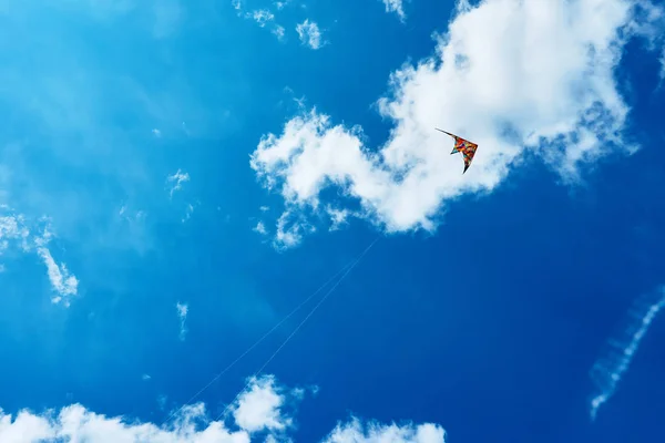 Papagaio Grande Flutua Alto Céu Entre Nuvens Contra Céu Azul — Fotografia de Stock