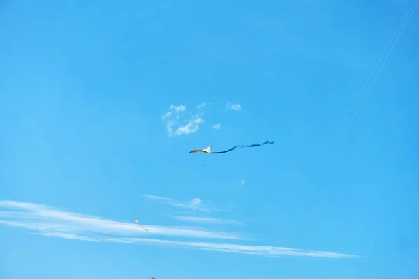 一只大风筝在云层中漂浮在蓝天和明亮的夏日阳光下 它由两条白绳子控制着 飞向地面 — 图库照片