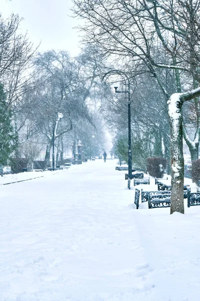 Bevroren Het Steegje Van Sneeuw Het Stadspark Waar Weinig Als — Stockfoto