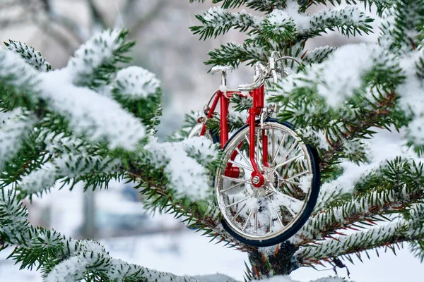 Zabawka Czerwony Rower Stoi Snowy Gałęzie Jodły Zielone Chłodne Zimowe — Zdjęcie stockowe