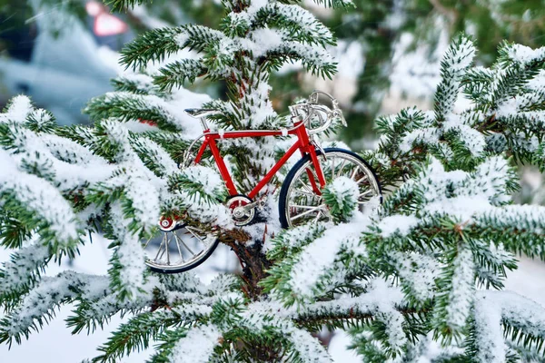 Zabawka Czerwony Rower Stoi Snowy Gałęzie Jodły Zielone Chłodne Zimowe — Zdjęcie stockowe