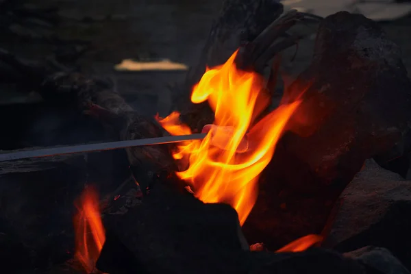 Preparation Very Tasty Sweet Dessert Marshmallow Fire Fire Rest Hike — Stock Photo, Image