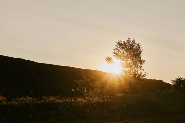 early in the morning a bright orange sun through a tree rises up the sky at dawn in nature far from the city