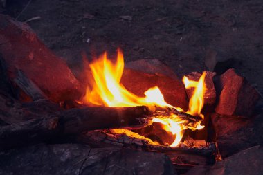 kuru odun ve dalları doğa sıcak bir şenlik ateşi parlak sarı ve turuncu yanmak
