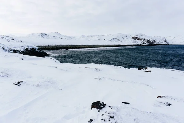 冬の凍るような日の雪で覆われた北の青い冷たい海の岩の海岸 — ストック写真