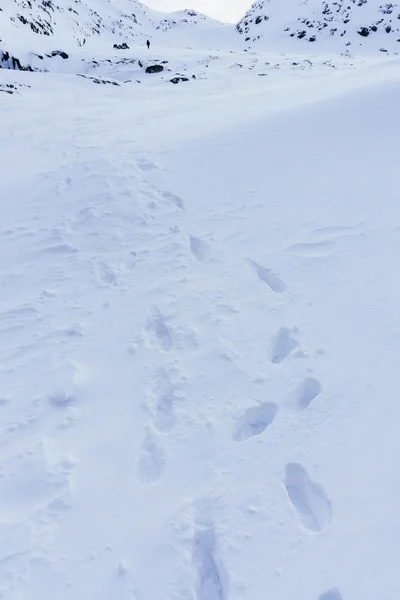 Efter Sko Djup Snö Efter Ett Snöfall Övergång Genom Berg — Stockfoto