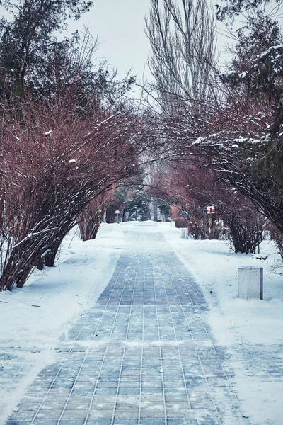 Pasarela Invierno Baldosas Bajo Nieve Parque Una Gran Ciudad —  Fotos de Stock