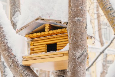 Güzel ahşap kuş evini büyük bir ağaç kutusu iç içe geçmiş kuşlar için kar ile bir kış soğuk günde serpilir.