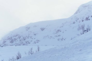 sonsuz kar tundra ve soğuk bir kış gününde Kuzey Kutup Dairesi ötesinde Kuzey Rusya'da tepeler