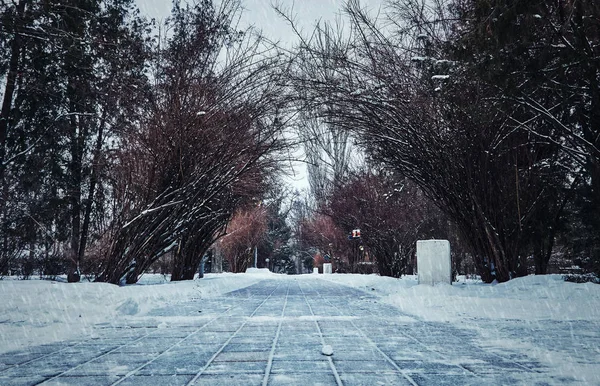 Pasarela Invierno Baldosas Bajo Nieve Parque Una Gran Ciudad —  Fotos de Stock