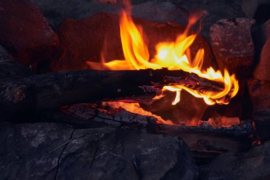 kuru odun ve dalları doğa sıcak bir şenlik ateşi parlak sarı ve turuncu yanmak