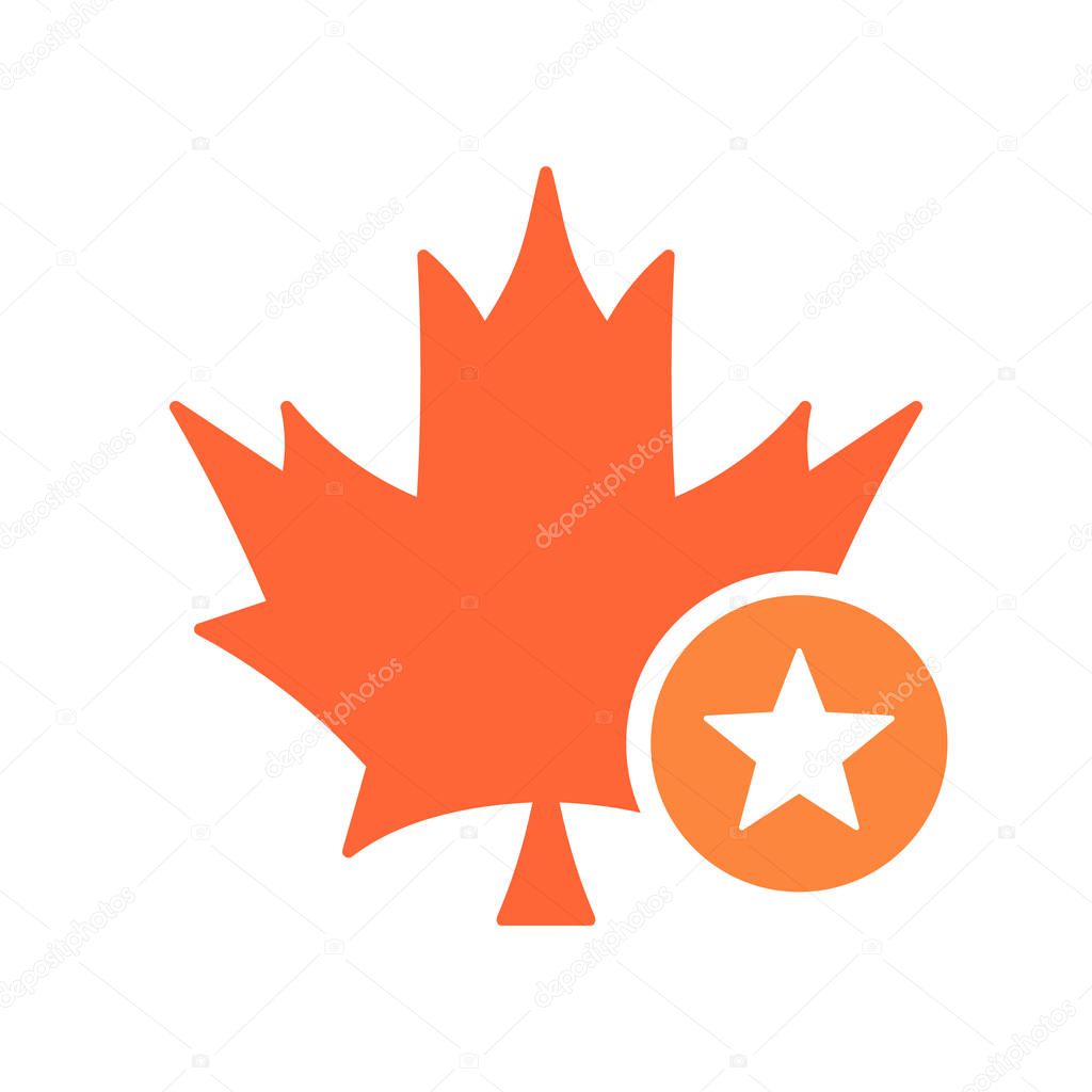 Maple leaf icon, Nature leaves icon with star sign. Maple leaf icon and best, favorite, rating symbol