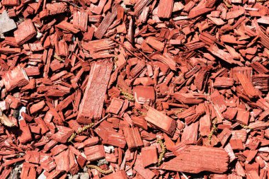 close-up view of red wooden chips background clipart