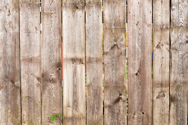 brown wooden fence background with green leaves